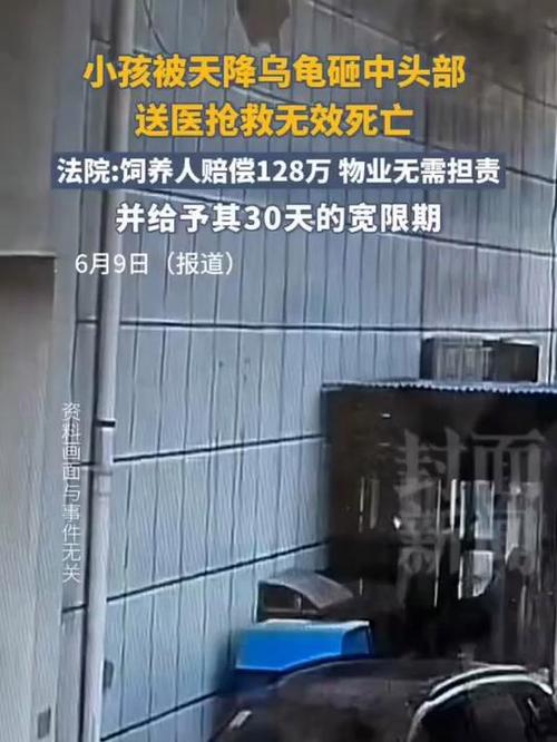 小孩被天降乌龟砸死,被天上掉下来的乌龟砸死的人